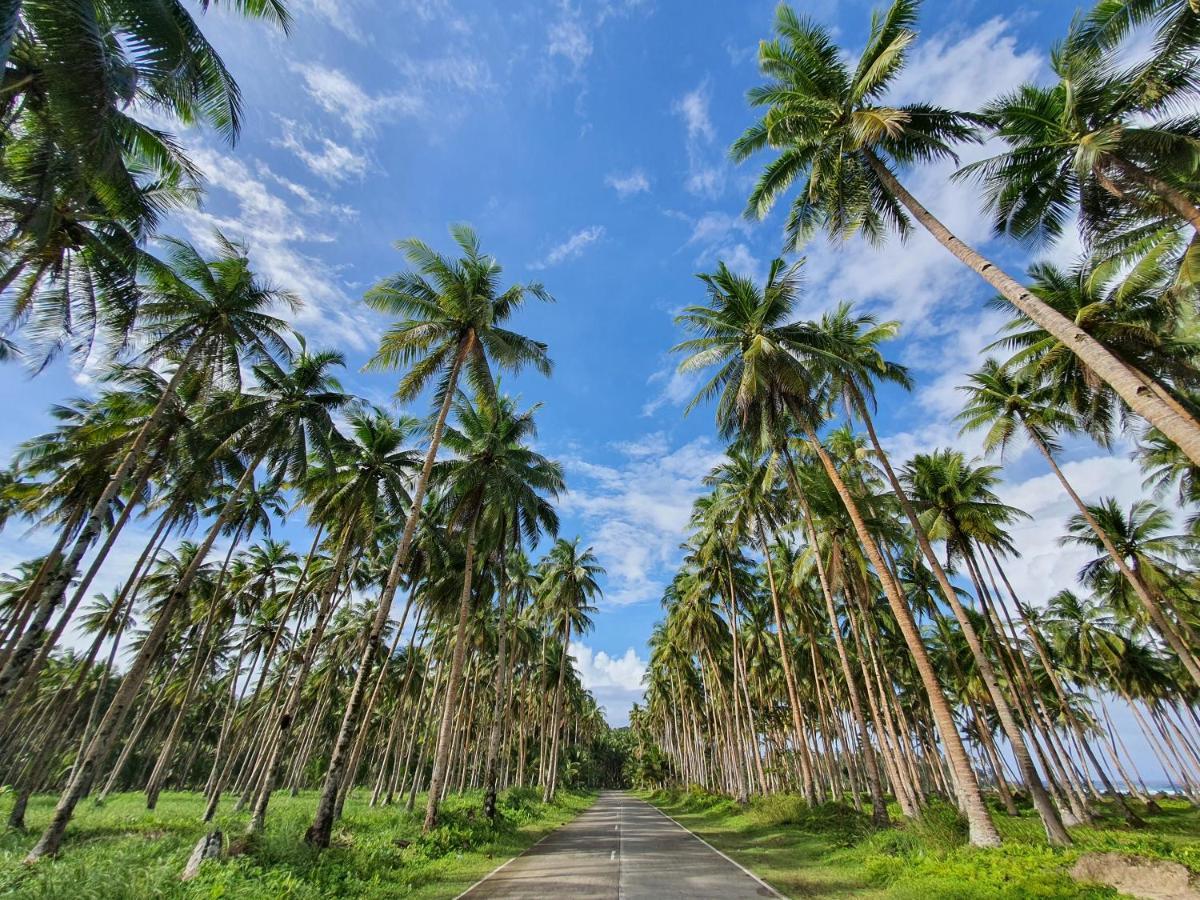 Bed and Breakfast Coleto Siargao San Isidro  Екстер'єр фото