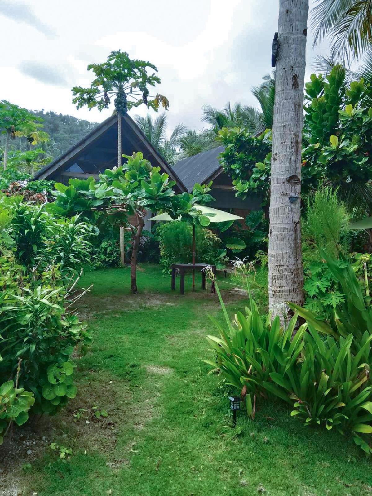 Bed and Breakfast Coleto Siargao San Isidro  Екстер'єр фото