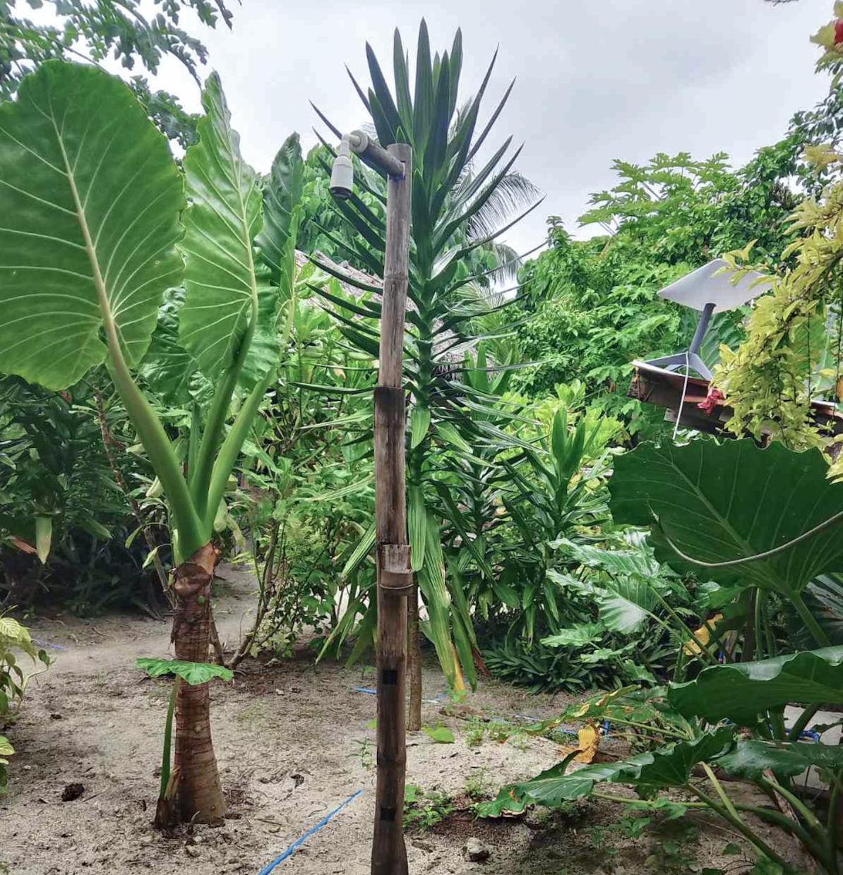 Bed and Breakfast Coleto Siargao San Isidro  Екстер'єр фото