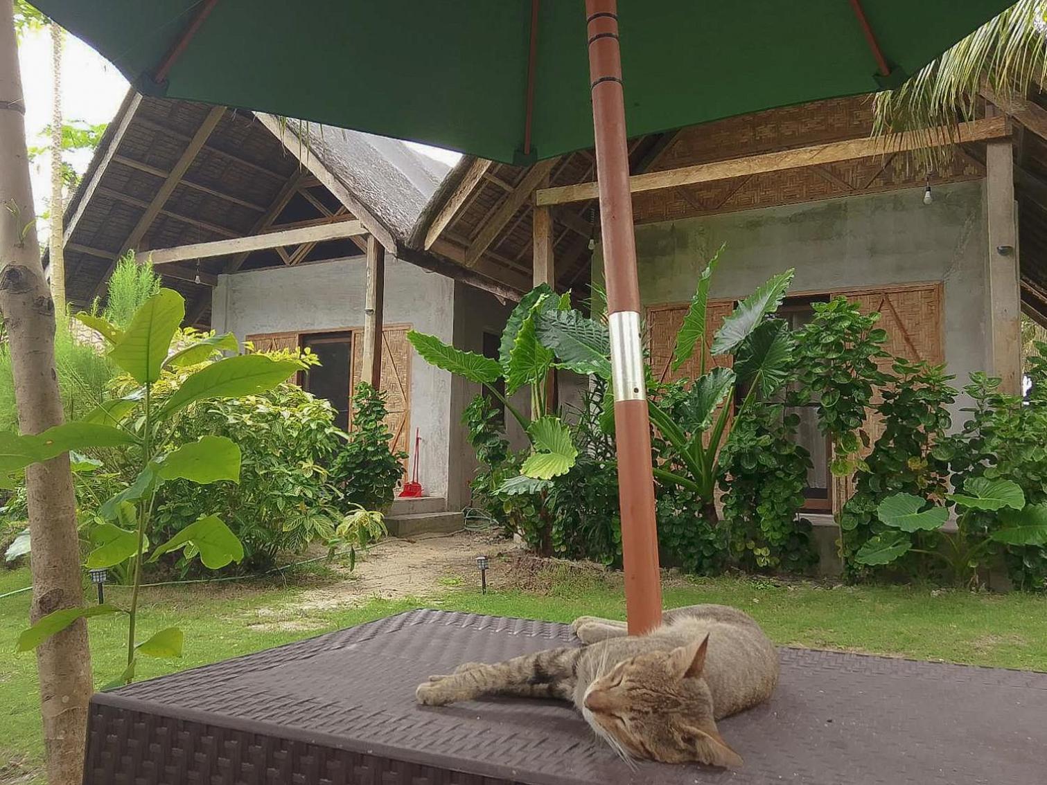 Bed and Breakfast Coleto Siargao San Isidro  Екстер'єр фото