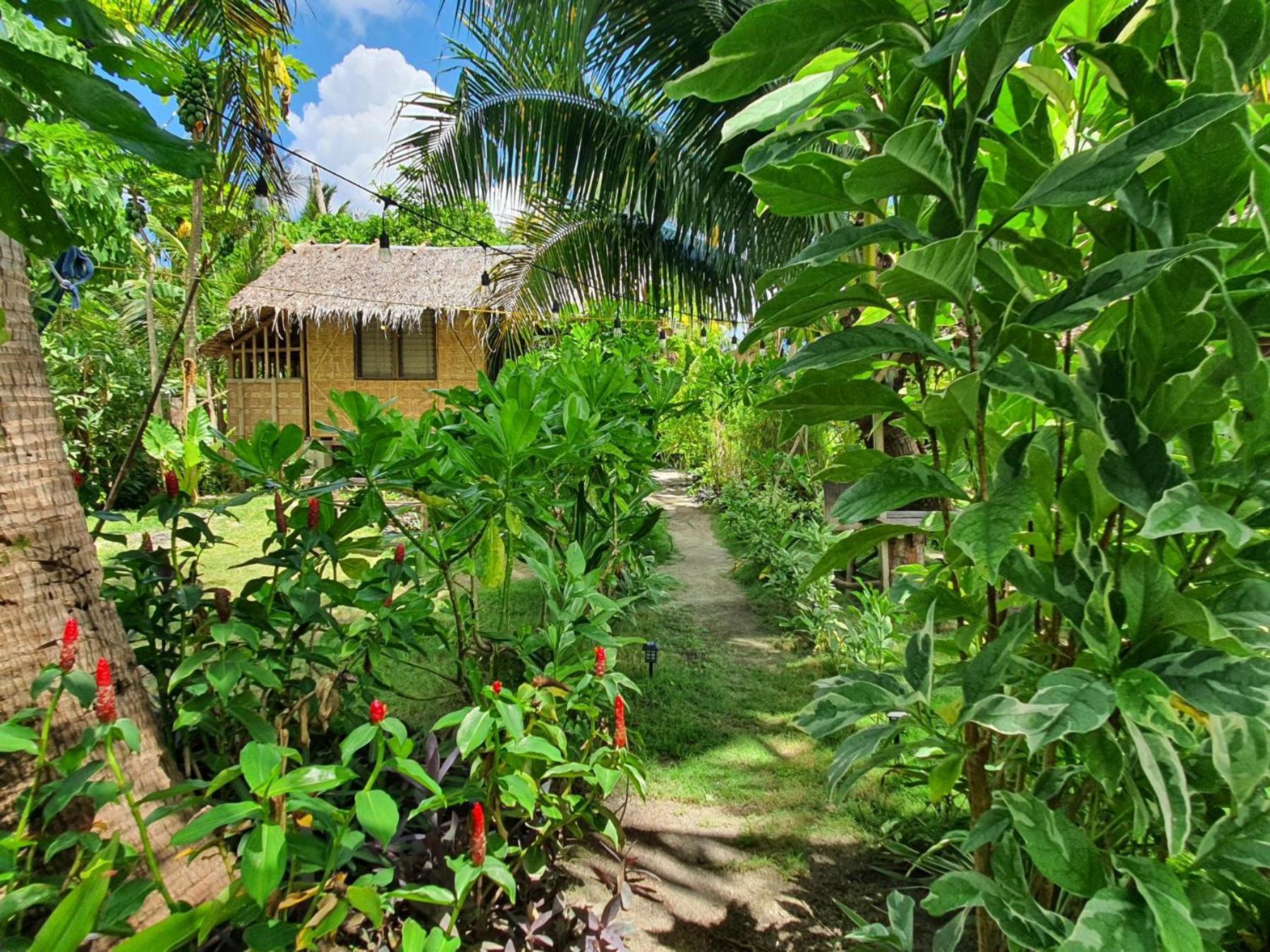 Bed and Breakfast Coleto Siargao San Isidro  Екстер'єр фото