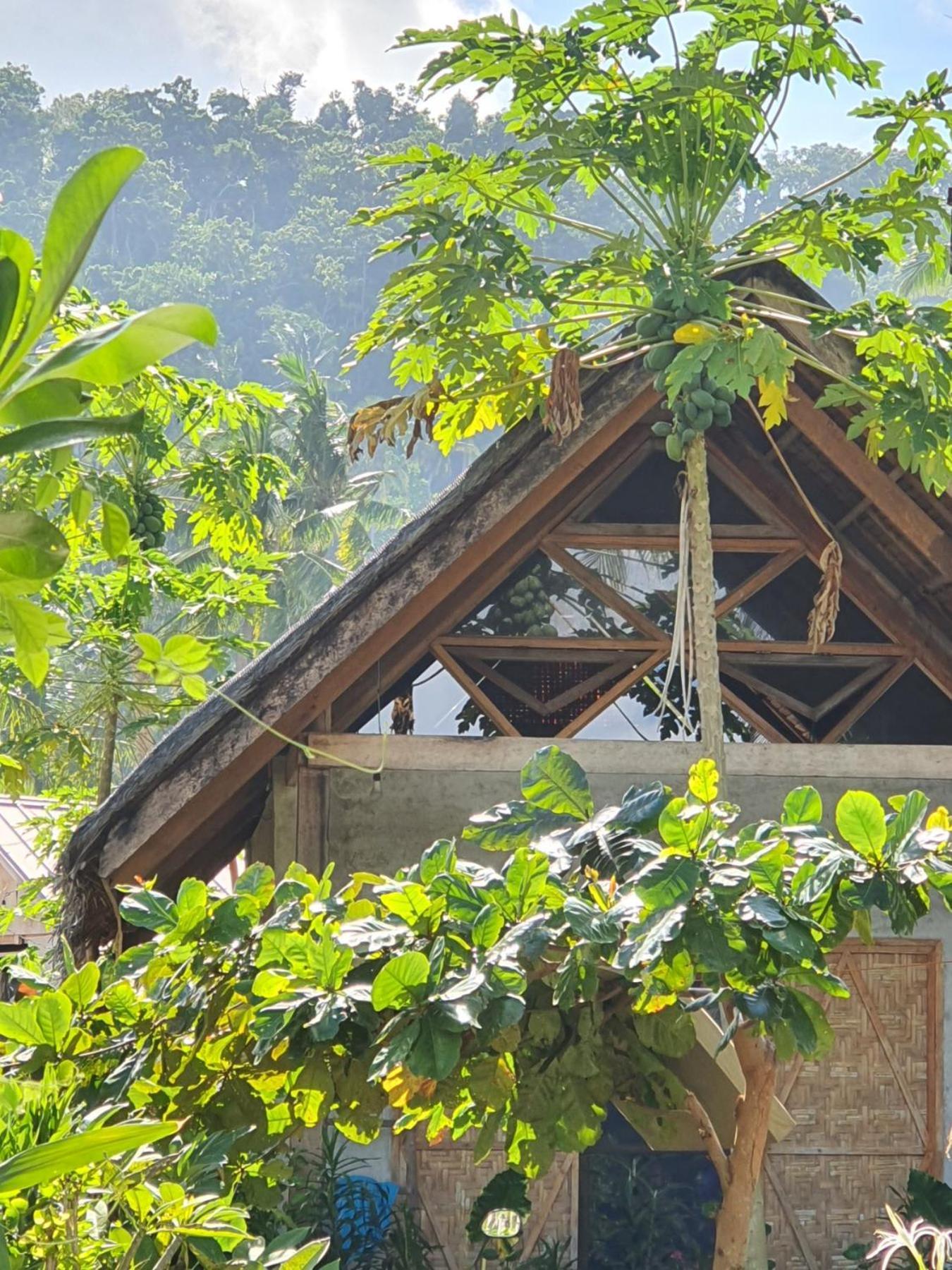 Bed and Breakfast Coleto Siargao San Isidro  Екстер'єр фото