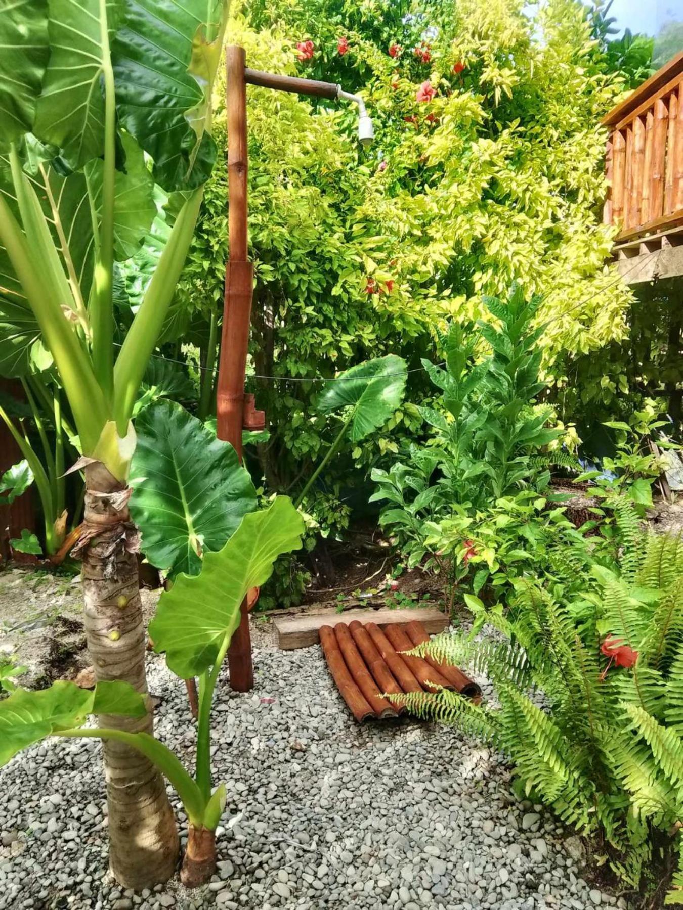 Bed and Breakfast Coleto Siargao San Isidro  Екстер'єр фото