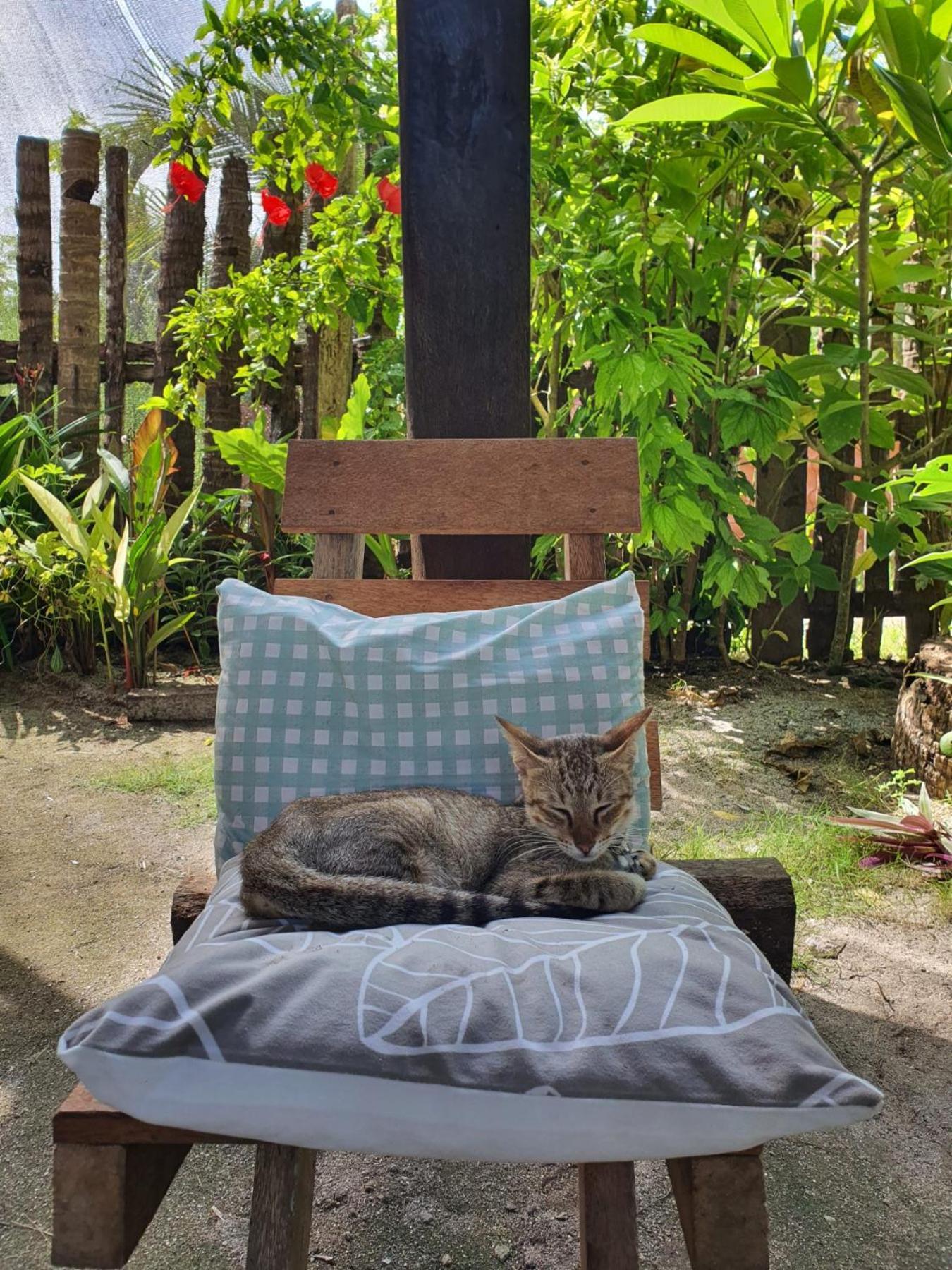 Bed and Breakfast Coleto Siargao San Isidro  Екстер'єр фото
