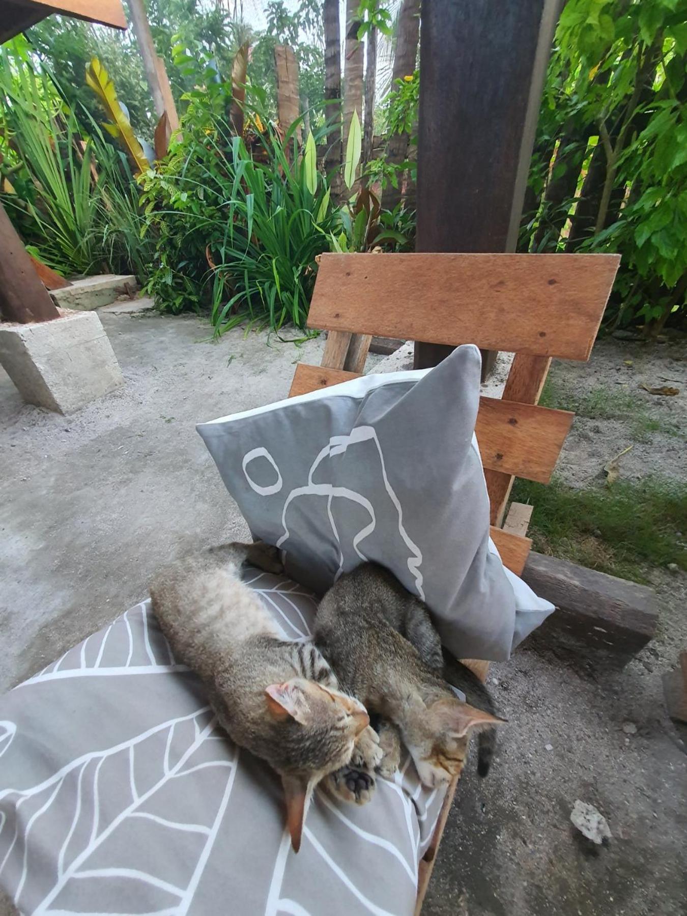 Bed and Breakfast Coleto Siargao San Isidro  Екстер'єр фото